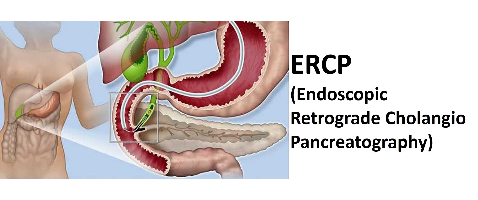 ercp_new_banner